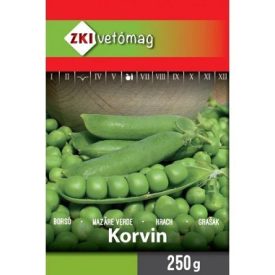 Korvin 250g