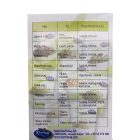 Csíráztató Üvegedény