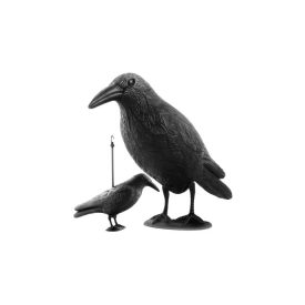 Madárriasztó holló