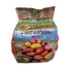 Red Scarlet Vetőburgonya 50 db