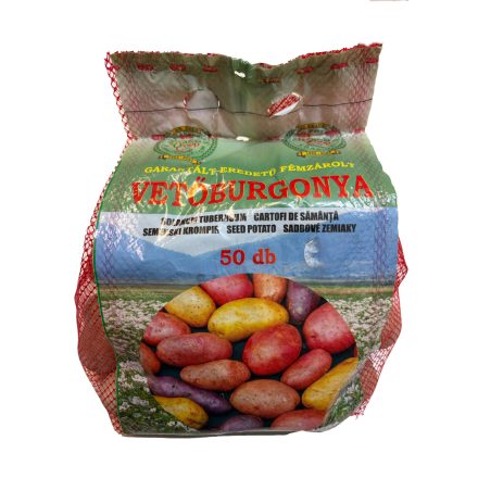 Red Scarlet Vetőburgonya 50 db