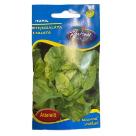 Humil fejessaláta - áttelelő