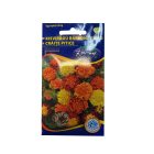 Kisvirágú Bársonyvirág Alacsony Színkeverék 