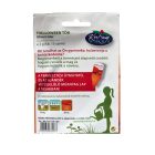 Halloween Tök Ghostrider