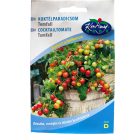 Tomfall Koktélparadicsom