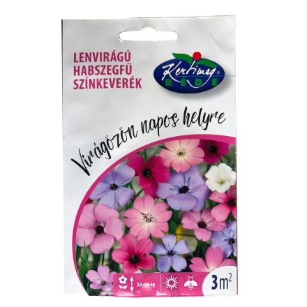 Lenvirágú habszegfű színkeverék "Virágözön napos helyre"
