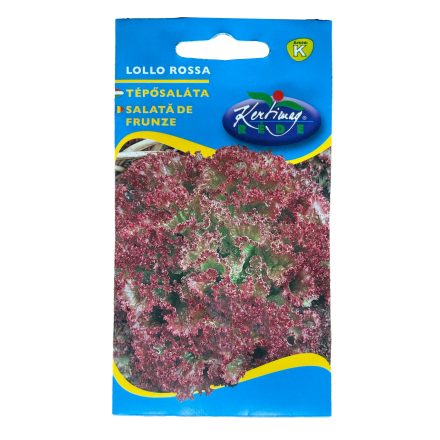 Lollo Rossa Tépősaláta